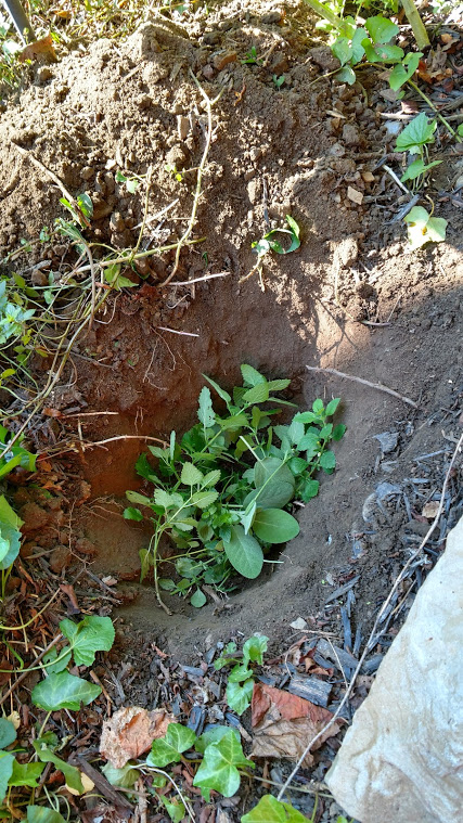 IMG_20160922_101522164_HDR