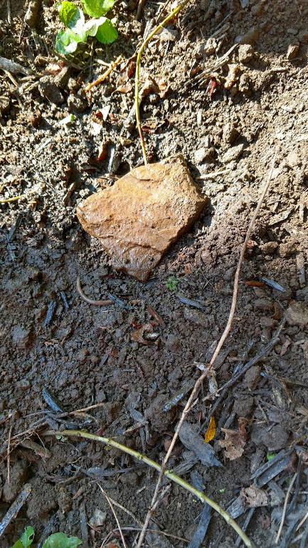 IMG_20160922_102350942_HDR